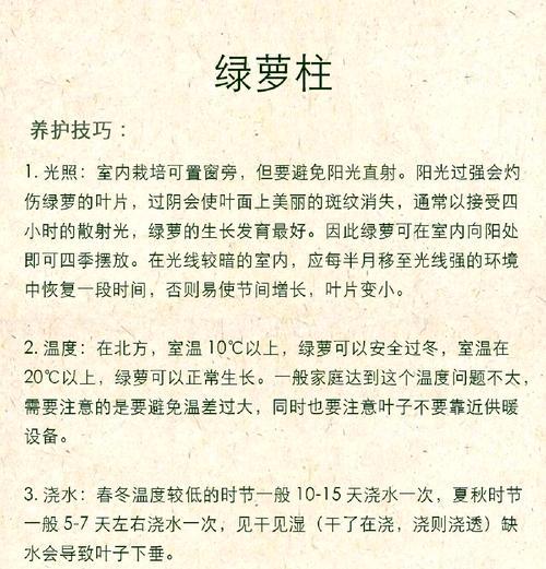 绿萝快速生长的秘诀是什么？有哪些有效方法？