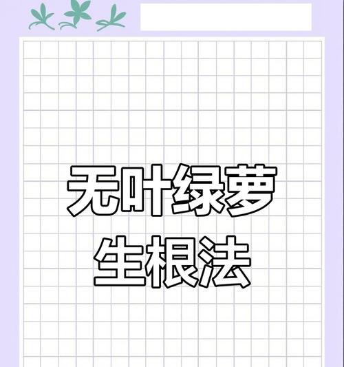 绿萝快速生长的秘诀是什么？有哪些有效方法？