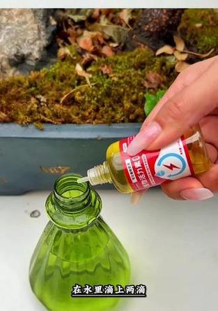 花卉叶子发黄的补救方法有哪些？如何恢复植物活力？