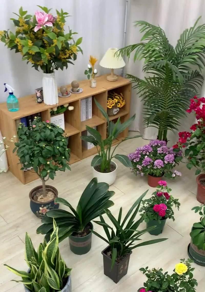 花卉叶子发黄的补救方法有哪些？如何恢复植物活力？