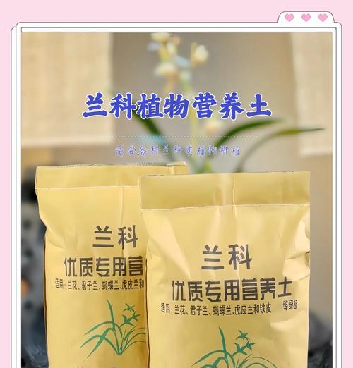 兰花种植需要哪种类型的土壤？