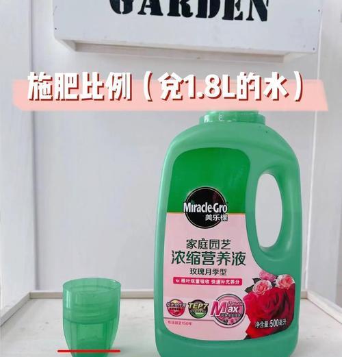月季花施肥技巧是什么？正确施肥促进花开！
