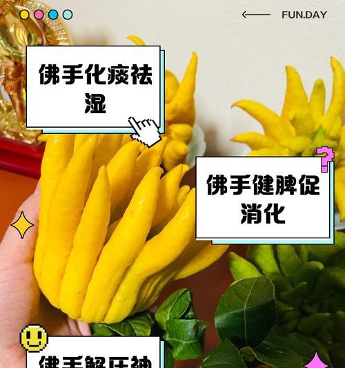 佛手什么季节？佛手的最佳种植和收获时间是什么时候？
