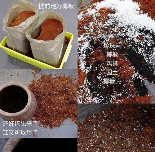 换盆的必要性和最佳时机是什么？换盆过程中应注意哪些事项？