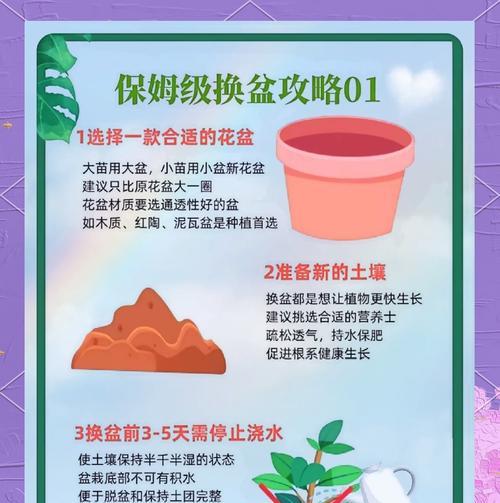 换盆的必要性和最佳时机是什么？换盆过程中应注意哪些事项？