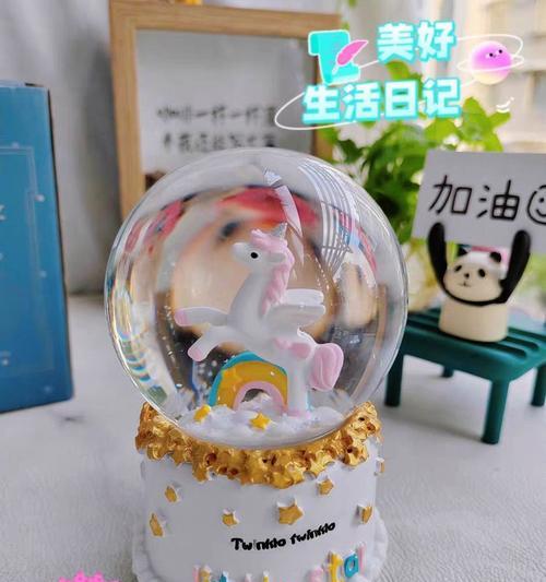 水晶球植物的养殖方法是什么？如何保持其透明度？