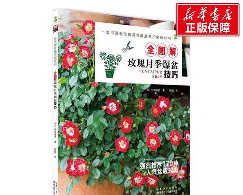 盆栽怎么修剪？盆栽修剪的技巧和最佳时期是什么？