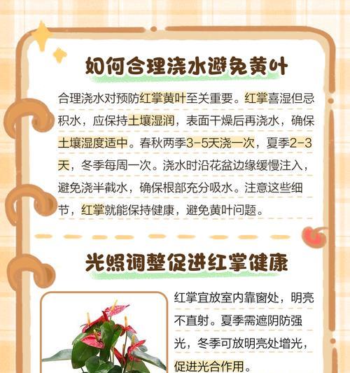 红掌叶子发黄怎么办？找出原因并解决！