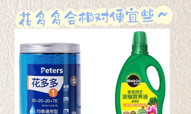 盆栽月季施肥的最佳时机和方法是什么？如何避免肥害？