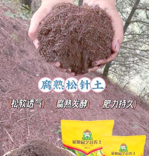 盆栽植物松土方法是什么？松土对盆栽植物有什么好处？