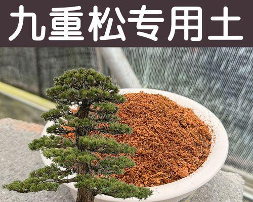 盆栽植物松土方法是什么？松土对盆栽植物有什么好处？