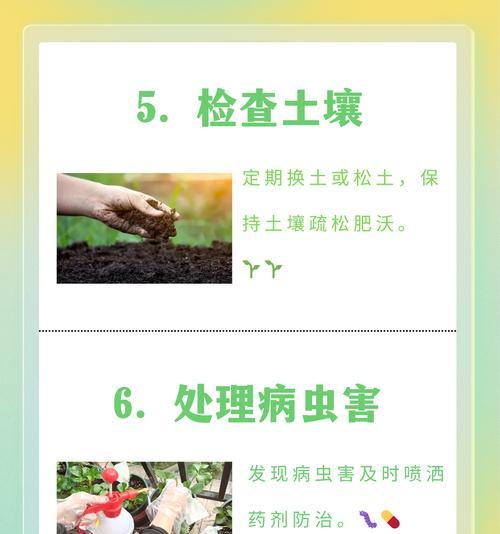 防止植物落叶的有效措施是什么？如何应对植物季节性落叶？