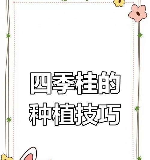 四季桂浇水技巧有哪些？如何正确进行？