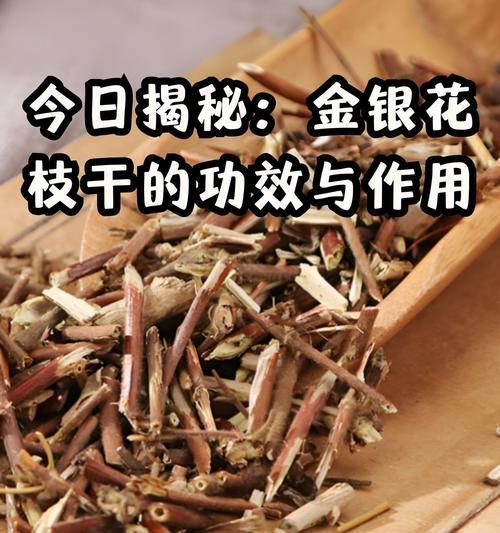 藤金银花修剪的最佳时机和方法是什么？