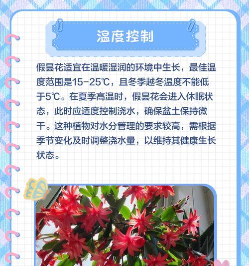 昙花叶子软化了怎么补救？有效方法分享！