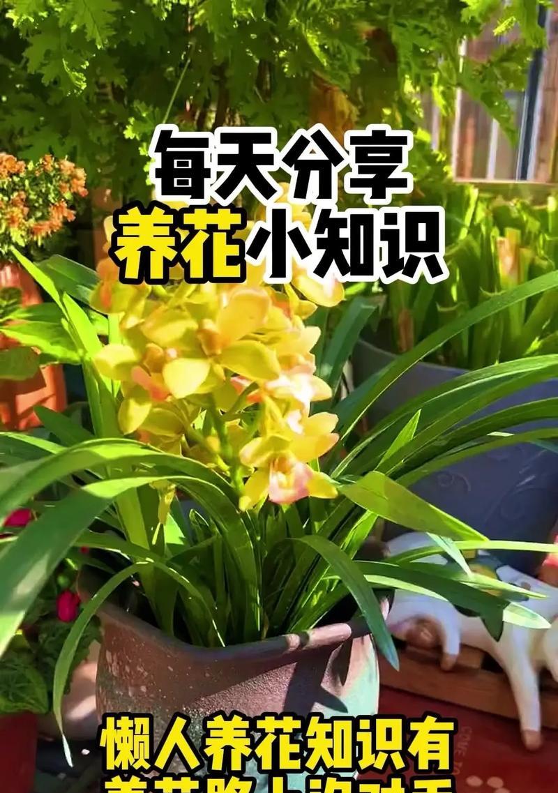 栽花需要注意哪些事项？