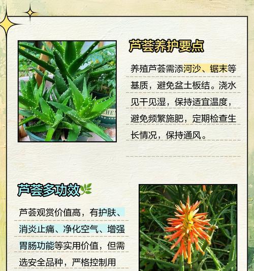 栽花需要注意哪些事项？