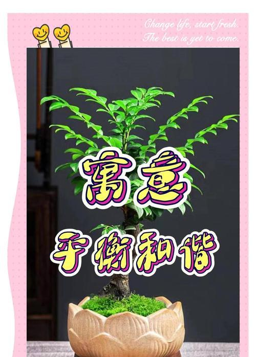 小叶紫檀花卉的正确养护方法是什么？