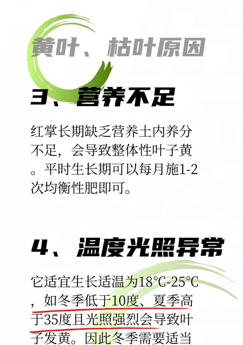 花叶发黄怎么办？如何处理花叶发黄的问题？