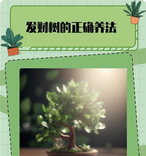 发财树怎么插扦？发财树插扦的正确步骤和注意事项是什么？