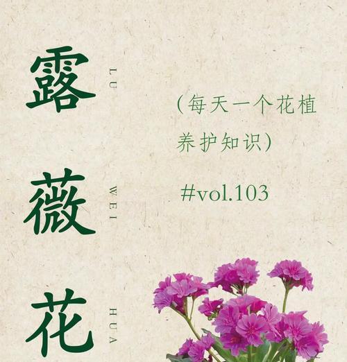 露地花卉的定义及其特点是什么？