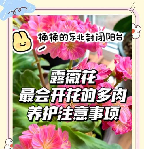露地花卉的定义及其特点是什么？
