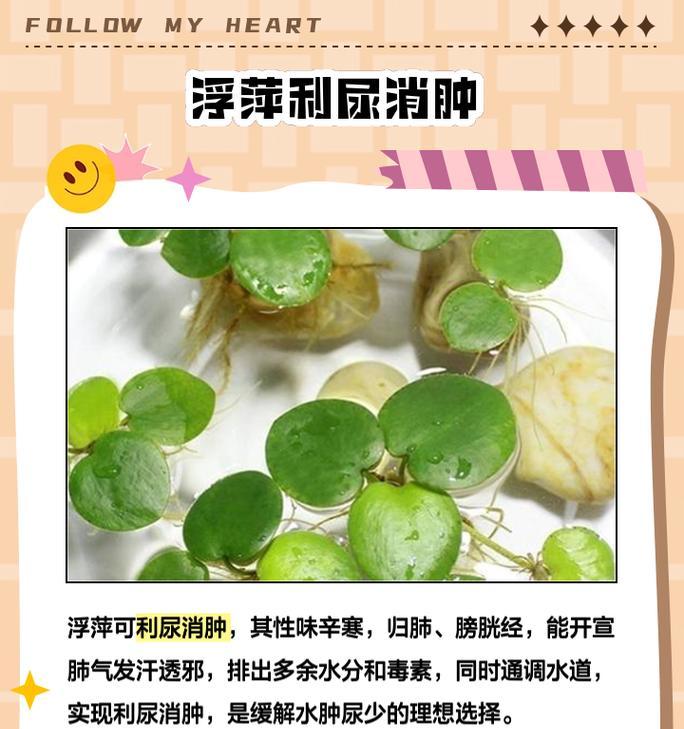 浮萍繁殖的自然方式是什么？