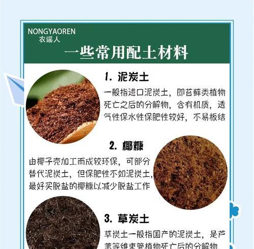 自制腐土的正确方法和注意事项有哪些？