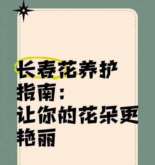 长春花冬季养护的注意事项有哪些？