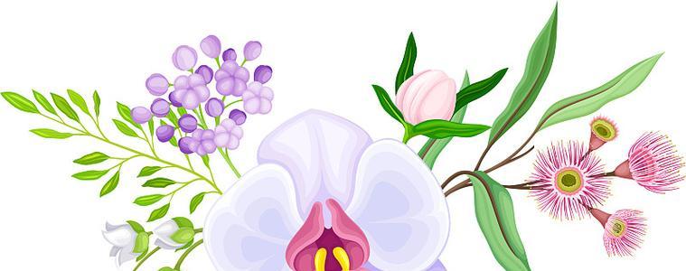 兰花花后花茎的处理与养护要点？