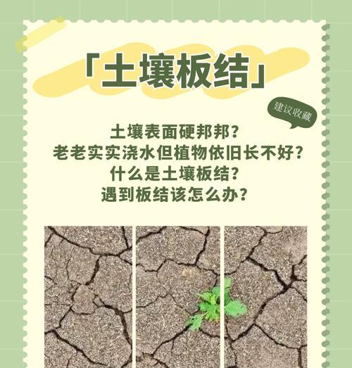 花土消毒的有效方法是什么？