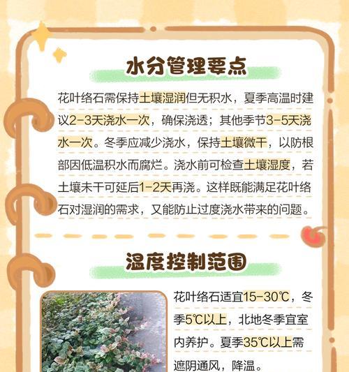 小叶络石的养殖方法和注意事项是什么？