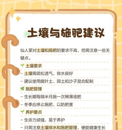 仙人掌的栽种方法和养护要点是什么？