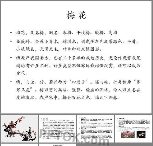 梅花修剪造型的技巧有哪些？梅花造型的最佳时期是什么时候？