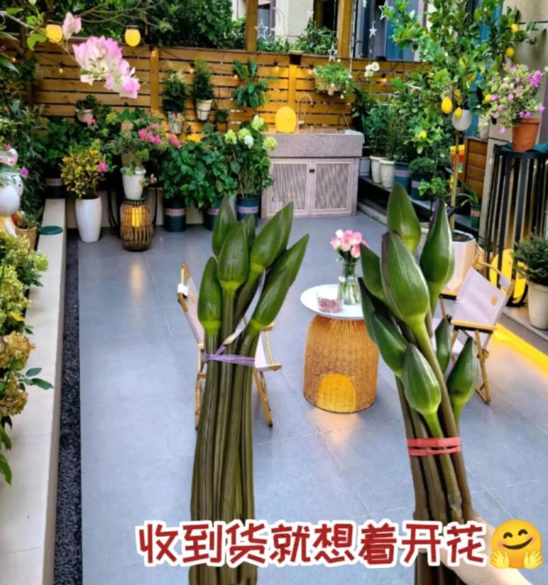 夏季适合插花的鲜花有哪些？夏季插花的保鲜技巧是什么？