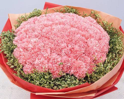 看病人送什么鲜花好？哪种鲜花最能表达关怀之情？