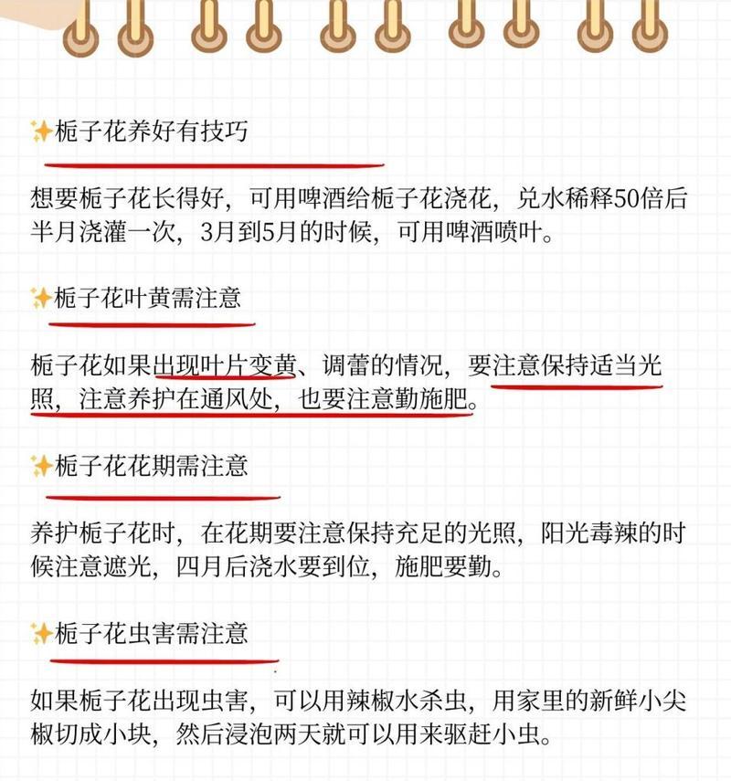 桅子花的养殖技巧有哪些？