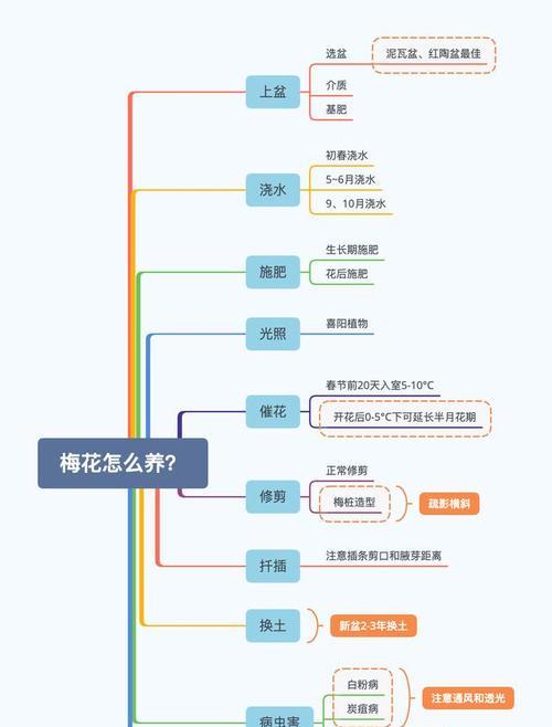 梅花盆栽养护要点？