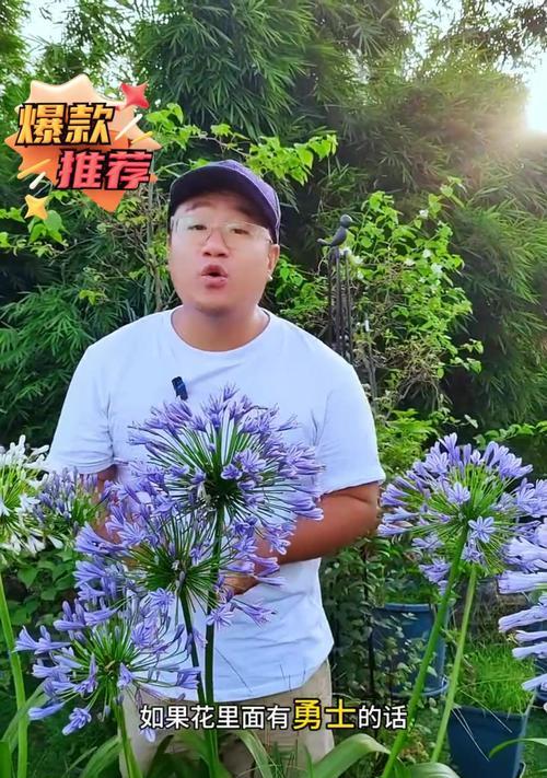 花卉修剪的正确步骤和注意事项是什么？