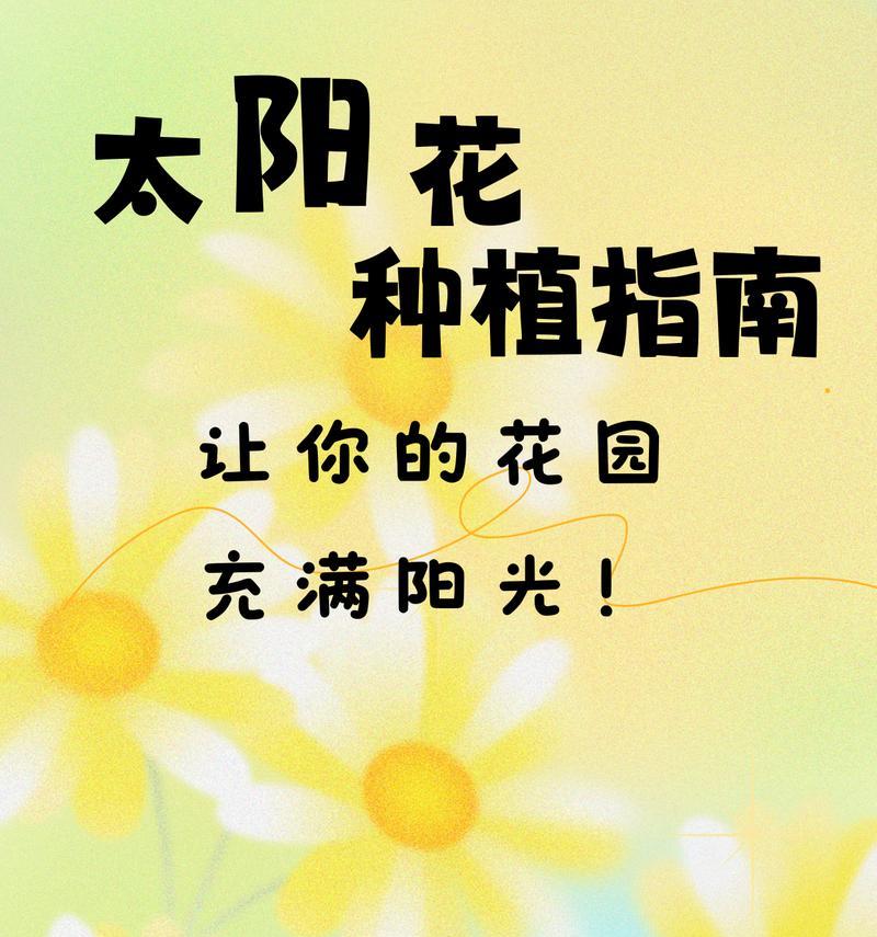 花种子播种的正确步骤是什么？