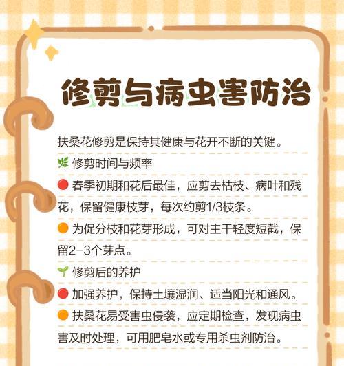 扶桑花繁殖技巧是什么？如何正确扦插扶桑花？
