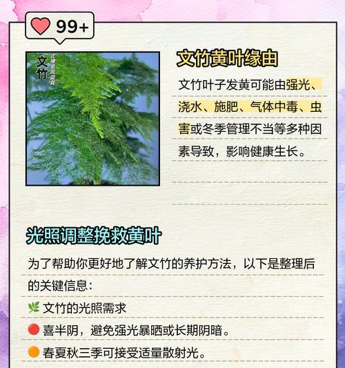 文竹黄叶的解决方法是什么？