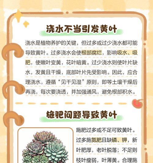 绿植叶子发黄的解决方法是什么？