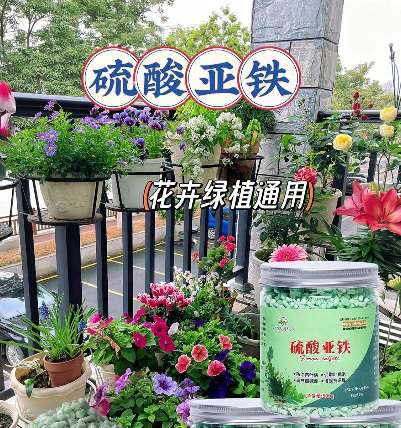 绿植叶子发黄的解决方法是什么？