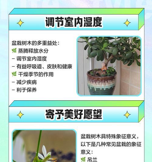 树木有哪些用途？它们对环境有何益处？