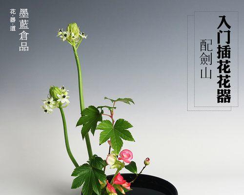 插花剑山的正确使用方法是什么？