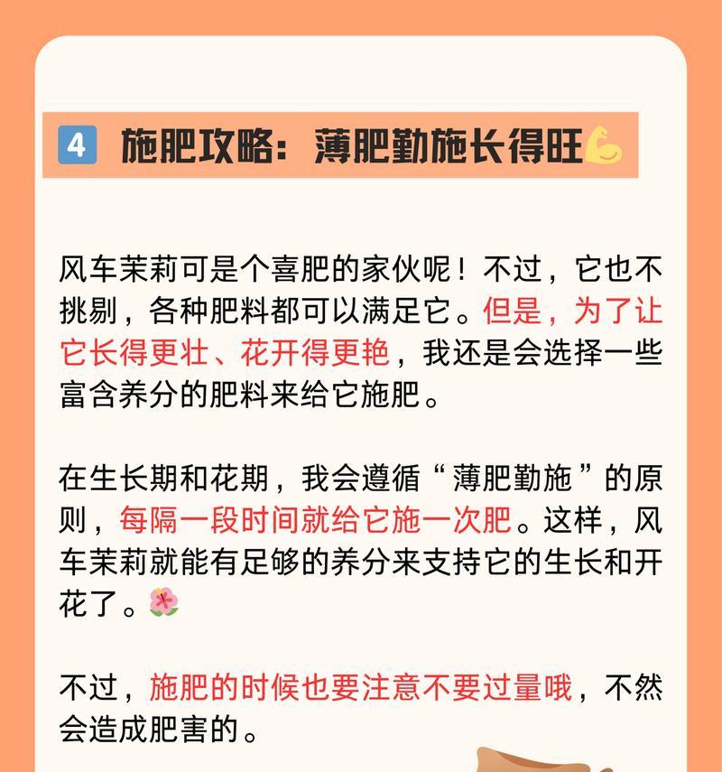 茉利花的养殖技巧是什么？