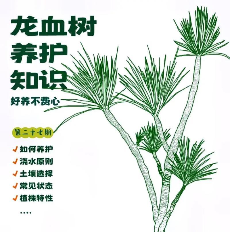 花卉养护的基本常识有哪些？