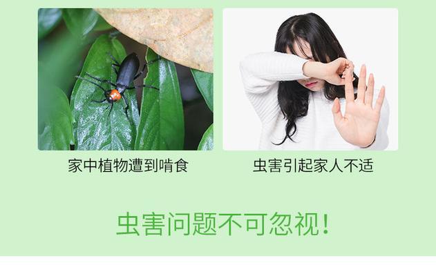 花卉出现小飞虫怎么处理？有哪些有效的防治方法？