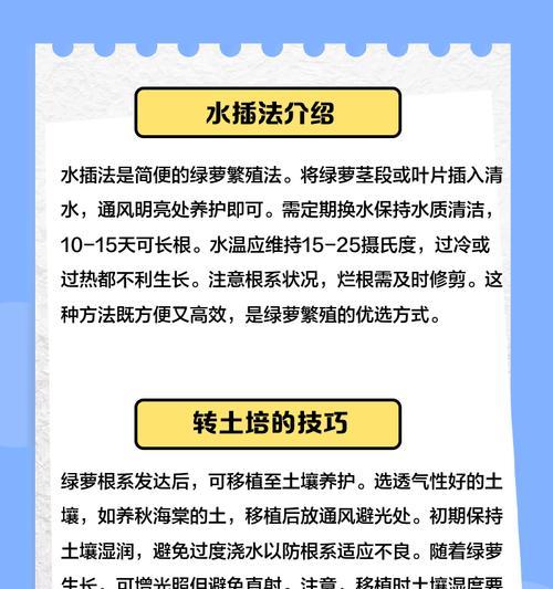 绿萝种植的正确步骤是什么？